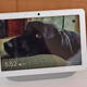 With the launch of the Nest Home Hub Max and the rebranding of older smart home devices, we’re entering a new era for Google’s smart home efforts.
